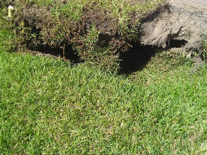 Soil Stabilization_3